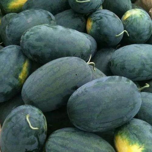 吃瓜写真,揭秘娱乐圈幕后故事