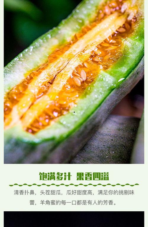 孕妇可以吃羊角瓜吗,羊角瓜的安全性探讨