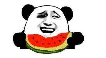 乖乖吃瓜,乖乖吃瓜，带你领略明星幕后故事