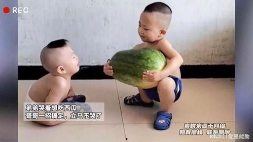 哥哥吃瓜,揭秘娱乐圈背后的那些事儿