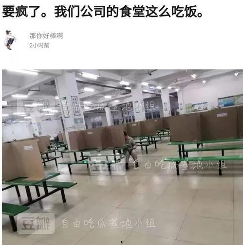 自由吃瓜基地豆瓣小组,豆瓣小组里的欢乐盛宴与深度讨论